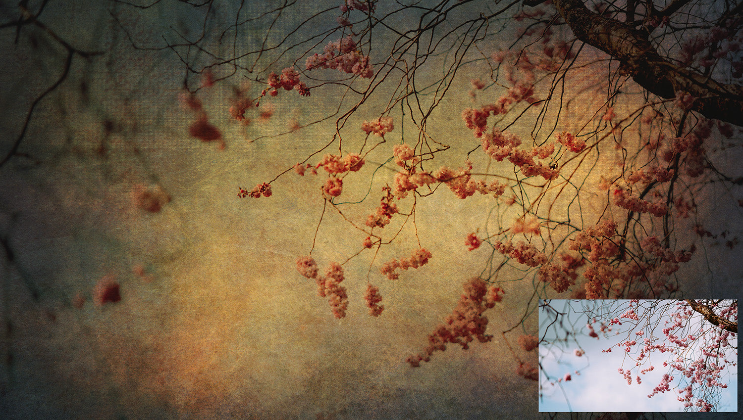 Fine art textures for photographers, digital editing. Photo Overlays. Antique, Vintage, Grunge, Light, Bundle. Textured printable Canvas, Colour, black and white, Bundle. High resolution, 300dpi Graphic Assets for photography, scrapbooking and design. By ATP Textures